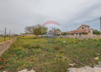 Giardino - Agricultural land Ragusa - photo 13