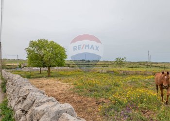 Giardino - Agricultural land Ragusa - photo 15
