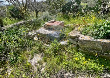 Giardino - Casa indipendente Via del Tellesimo
 
14, Ragusa - foto 13