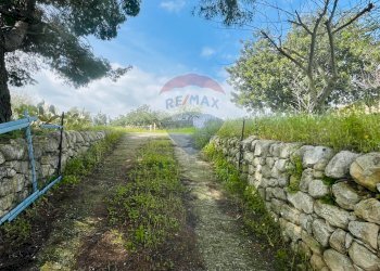 Giardino - Casa indipendente Via del Tellesimo
 
14, Ragusa - foto 14