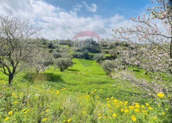 Giardino - Casa indipendente Via del Tellesimo
 
14, Ragusa - foto 15