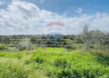 Giardino - Casa indipendente Via del Tellesimo
 
14, Ragusa - foto 16