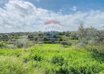 Giardino - Casa indipendente Via del Tellesimo
 
14, Ragusa - foto 17