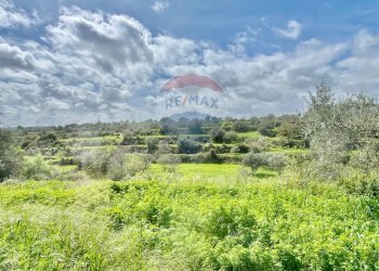 Giardino - Casa indipendente Via del Tellesimo
 
14, Ragusa - foto 18