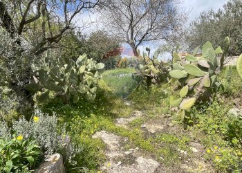 Giardino - Casa indipendente Via del Tellesimo
 
14, Ragusa - foto 19