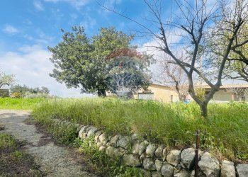 Giardino - Casa indipendente Via del Tellesimo
 
14, Ragusa - foto 20