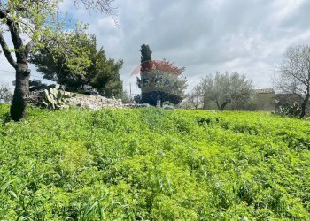 Giardino - Casa indipendente Via del Tellesimo
 
14, Ragusa - foto 22