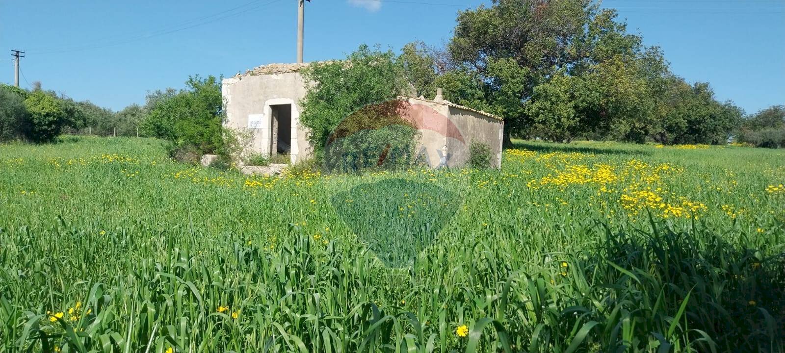 Giardino - Terreno agricolo via delle cernie, Pozzallo - foto 2