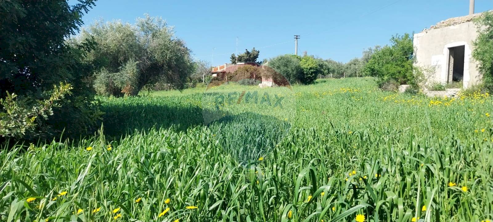 Giardino - Terreno agricolo via delle cernie, Pozzallo - foto 3