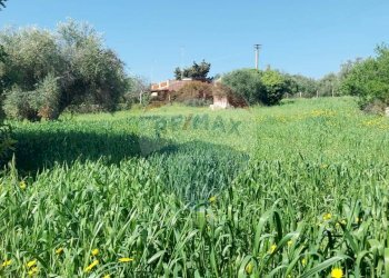 Giardino - Terreno agricolo via delle cernie, Pozzallo - foto 3