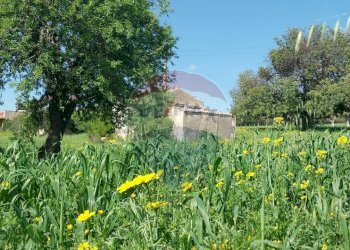 Giardino - Terreno agricolo via delle cernie, Pozzallo - foto 4