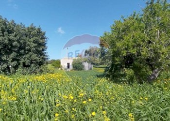 Giardino - Terreno agricolo via delle cernie, Pozzallo - foto 6