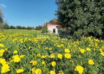 Giardino - Terreno agricolo via delle cernie, Pozzallo - foto 1