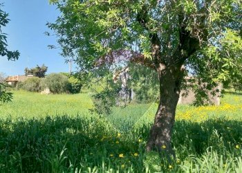 Giardino - Terreno agricolo via delle cernie, Pozzallo - foto 8