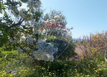 Giardino - Terreno agricolo via delle cernie, Pozzallo - foto 9
