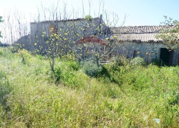 Giardino - Rustico CONTRADA  MONACHELLA, Ragusa - foto 11