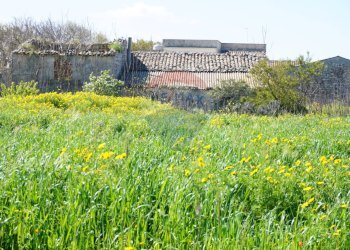 Giardino - Rustico CONTRADA  MONACHELLA, Ragusa - foto 16