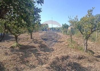 Giardino - Casa indipendente venticinque luglio
 
225, Comiso - foto 18