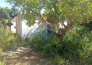 Giardino - Casa indipendente venticinque luglio
 
225, Comiso - foto 19