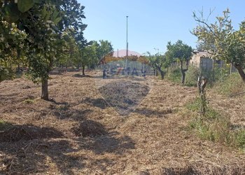 Giardino - Casa indipendente venticinque luglio
 
225, Comiso - foto 21