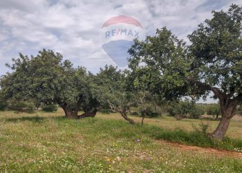 Giardino - Rustico Strada provinciale 48, Ispica - foto 4