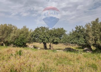 Giardino - Rustico Strada provinciale 48, Ispica - foto 6