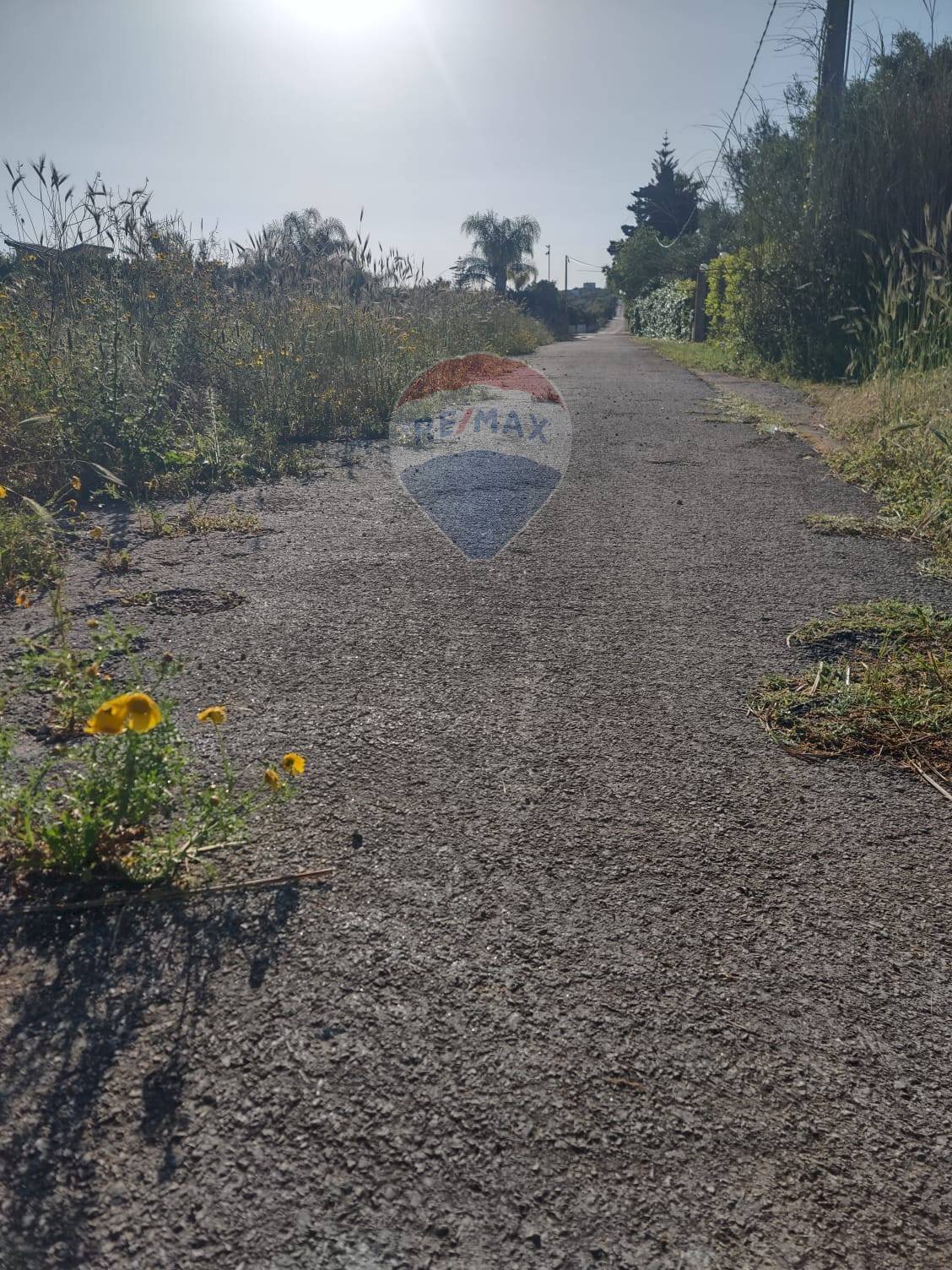 Vista delle montagne - Agricultural land Via dello Zafferano, Ispica - photo 2
