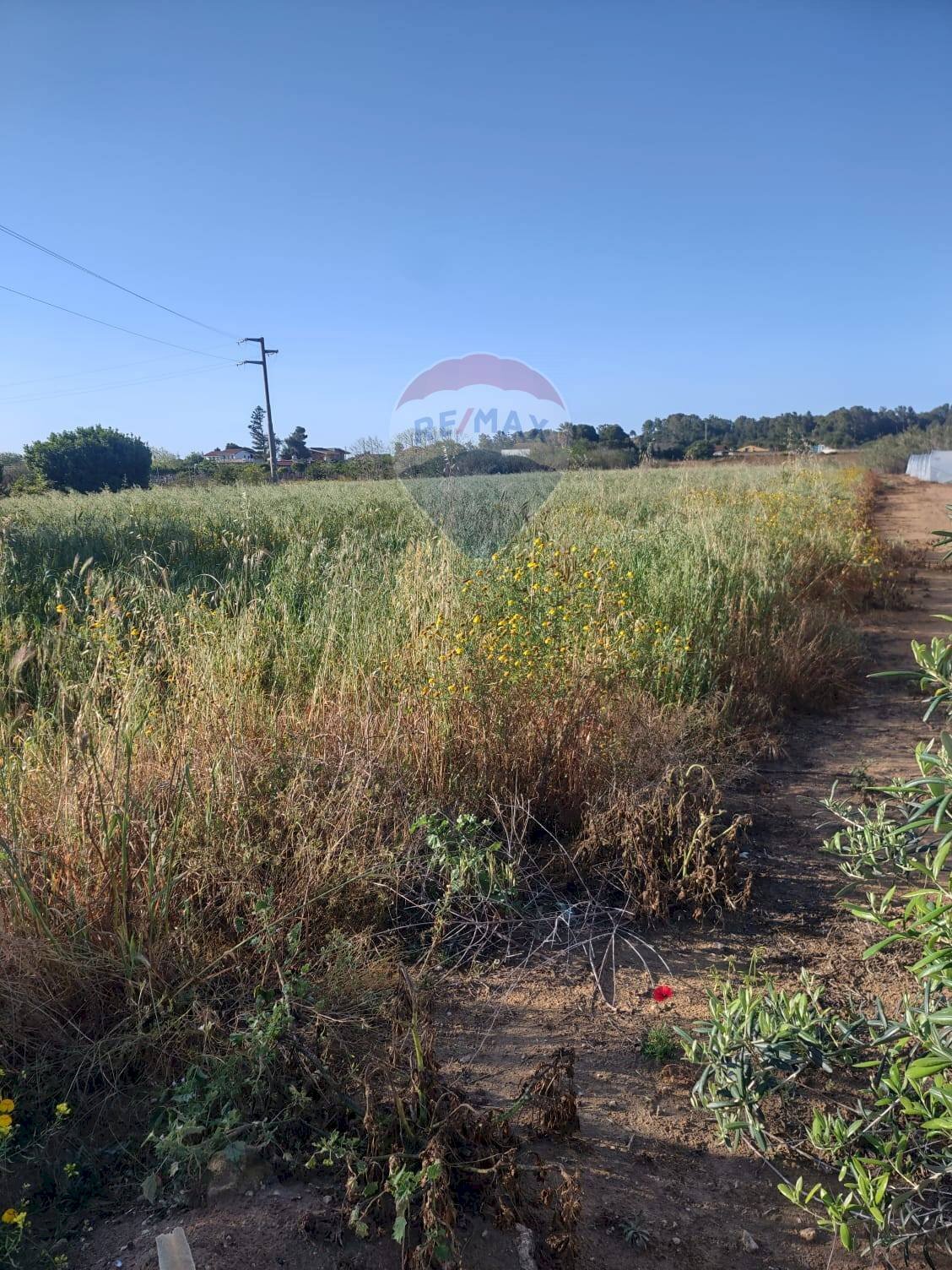 Giardino - Agricultural land Via dello Zafferano, Ispica - photo 3