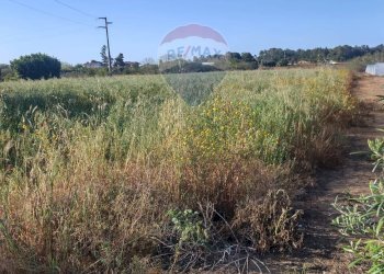 Giardino - Terreno agricolo Via dello Zafferano, Ispica - foto 3