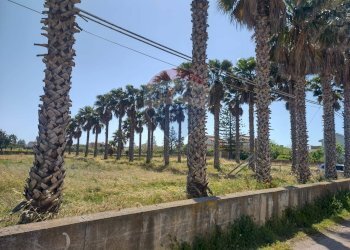 Giardino - Terreno edificabile Via Delle Orchidee, Ispica - foto 7