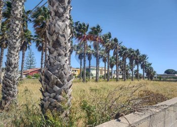 Giardino - Terreno edificabile Via Delle Orchidee, Ispica - foto 8