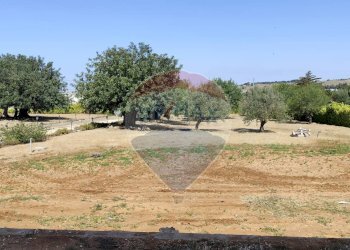 Giardino - Villa CONTRADA FORTURA STRADA COMUNALE 21, Vittoria - foto 3