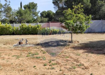 Giardino - Villa CONTRADA FORTURA STRADA COMUNALE 21, Vittoria - foto 6