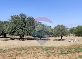 Giardino - Villa CONTRADA FORTURA STRADA COMUNALE 21, Vittoria - foto 8