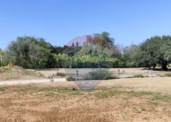 Giardino - Villa CONTRADA FORTURA STRADA COMUNALE 21, Vittoria - foto 9