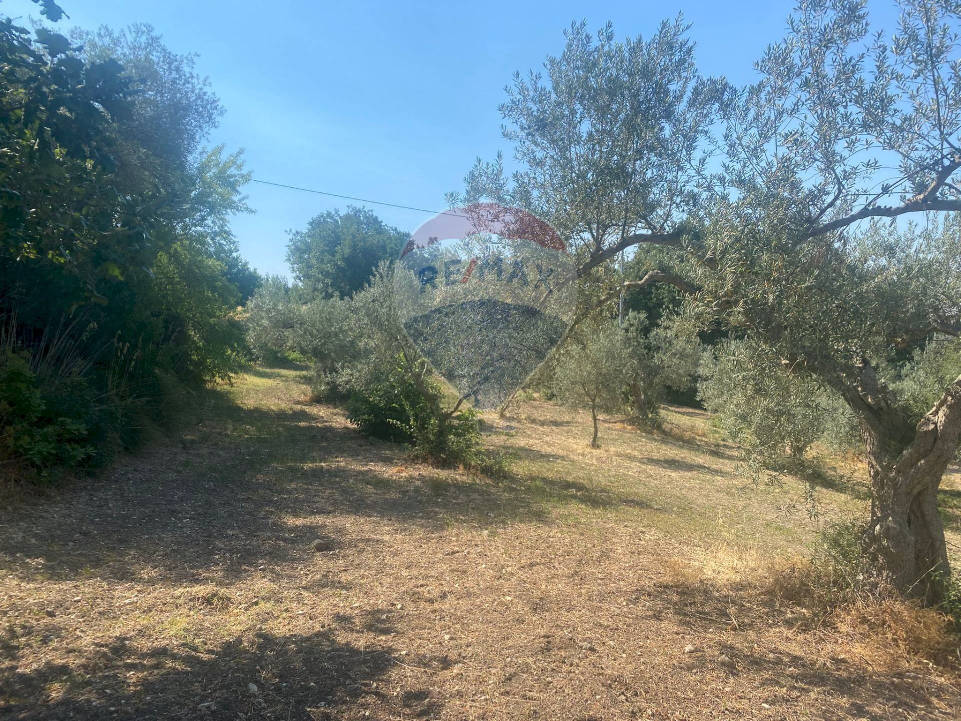 Giardino - Rustico C.da Gazzena, Monterosso Almo - foto 2