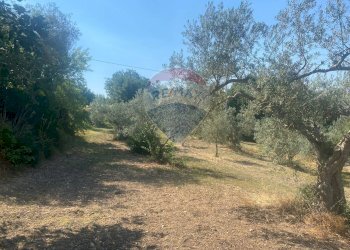 Giardino - Rustico C.da Gazzena, Monterosso Almo - foto 2