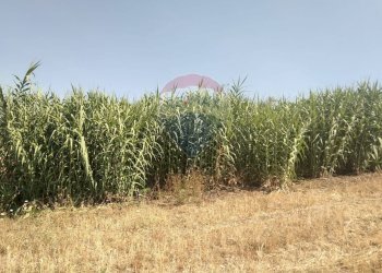 Giardino - Rustico C.da Gazzena, Monterosso Almo - foto 3