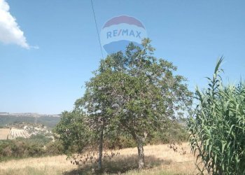 Giardino - Rustico C.da Gazzena, Monterosso Almo - foto 4