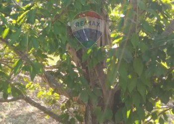 Giardino - Rustico C.da Gazzena, Monterosso Almo - foto 14