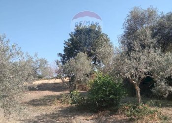 Giardino - Rustico C.da Gazzena, Monterosso Almo - foto 18