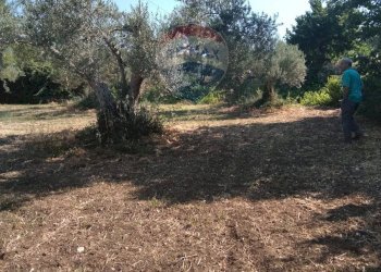 Giardino - Rustico C.da Gazzena, Monterosso Almo - foto 20