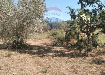 Giardino - Rustico C.da Gazzena, Monterosso Almo - foto 21