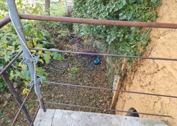 Giardino - Casa semi indipendente Via Isonzo
 
110, Rapino - foto 11