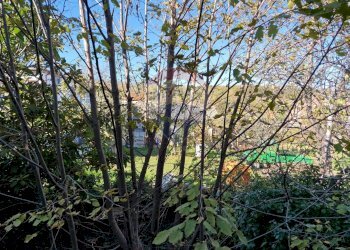 Non correlato - Casa semi indipendente Via Isonzo
 
110, Rapino - foto 15