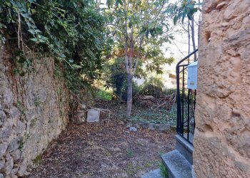 Giardino - Casa semi indipendente Via Isonzo
 
110, Rapino - foto 16