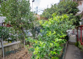 Giardino - Casa semi indipendente Via Orfento
 
48, Pescara - foto 15