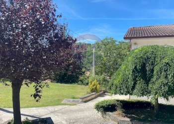 Giardino - Casa indipendente C.Da Colle Vertieri
 
15, Brittoli - foto 6