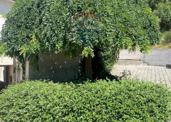 Giardino - Casa indipendente C.Da Colle Vertieri
 
15, Brittoli - foto 13