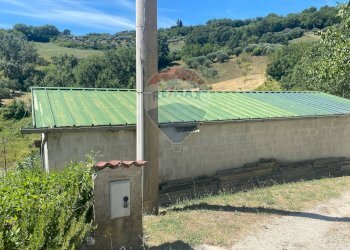 Giardino - Casa indipendente C.Da Colle Vertieri
 
15, Brittoli - foto 48